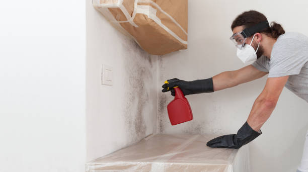 Professional Crawl Space Mold Removal technician working in Myerstown, PA