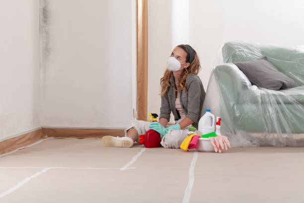 Reliable Crawl Space Mold Removal contractor in Myerstown, PA by WQB Mold Removal