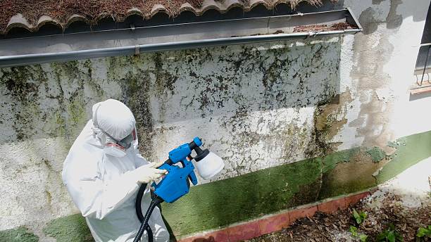 Top rated local Crawl Space Mold Removal specialists in Myerstown, PA